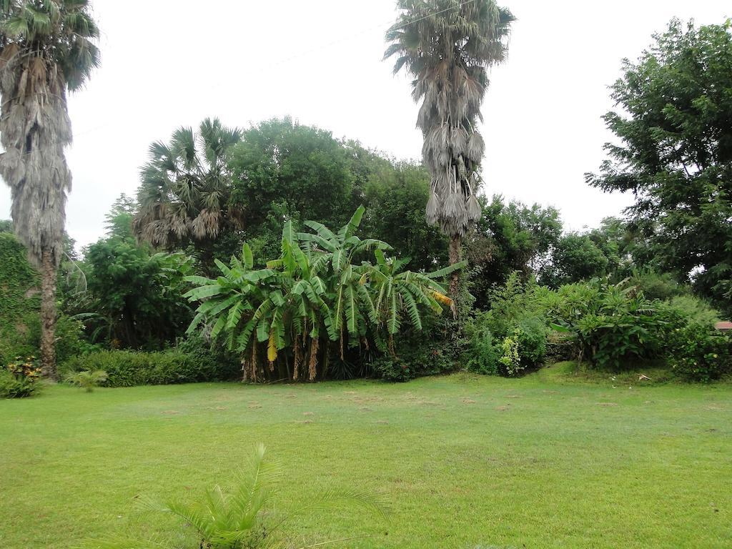 El Molino Hotel Boutique Rio Verde Bagian luar foto