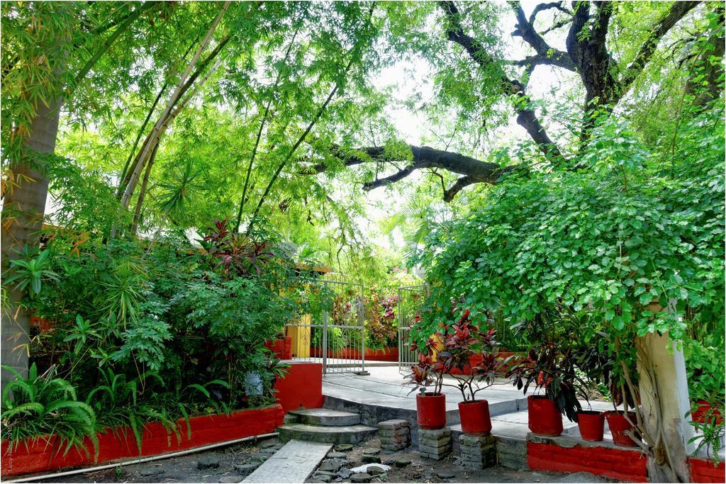 El Molino Hotel Boutique Rio Verde Bagian luar foto
